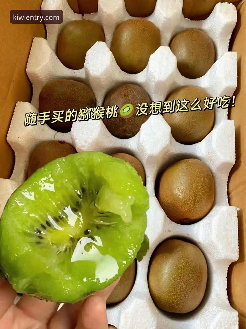 奇异果体育中国版教程 奇异果体育中国版教程最新动态:v2.1.0版本实测与下载全流程解析