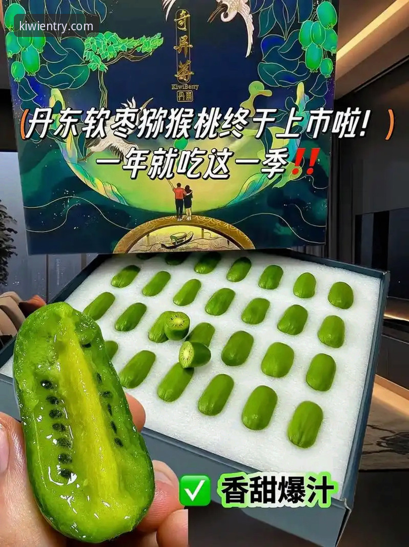 奇异果体育官方网站 奇异果体育平台使用指南:从下载到畅玩的全流程体验分享