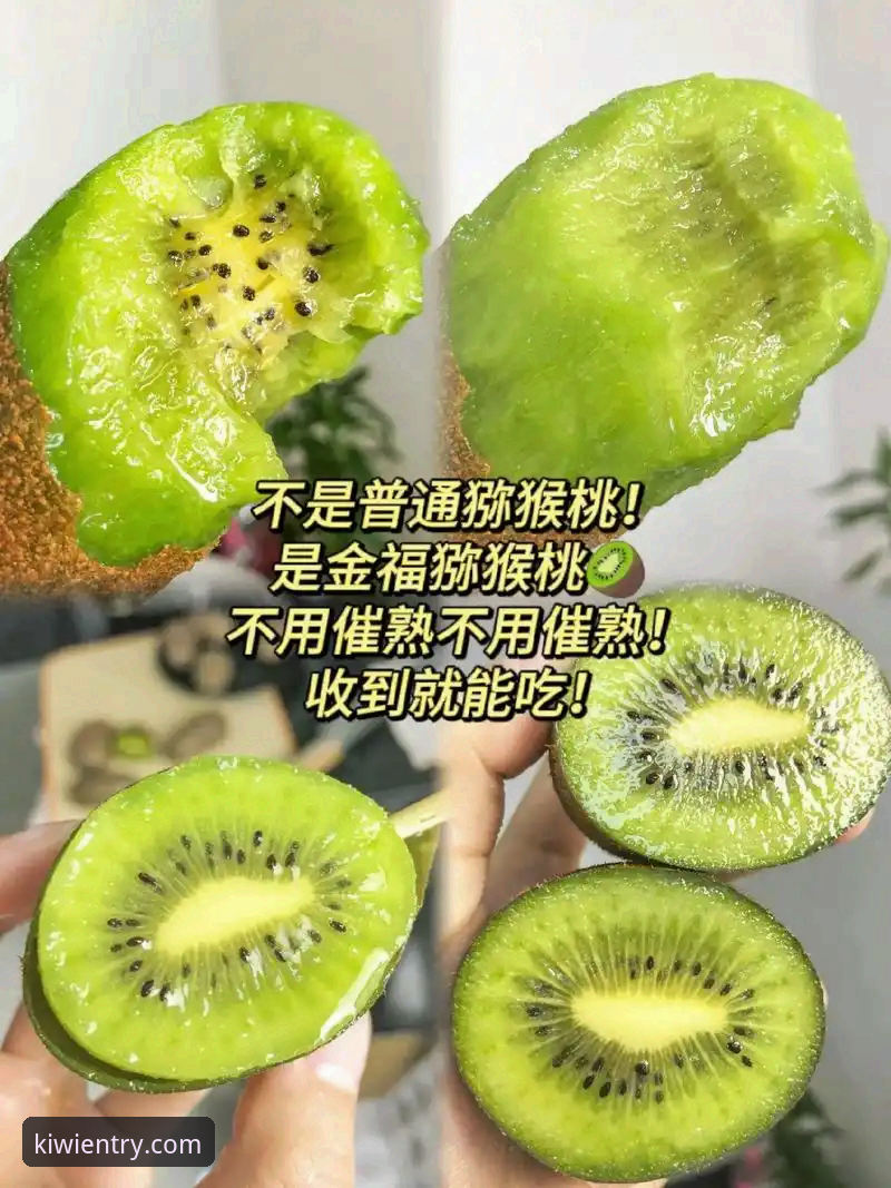 奇异果体育平台老用户分享：从v2.8.1更新看体育娱乐新趋势，官方下载全攻略